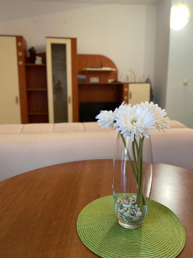 Apartments Mandarina Garden Petrovac Dış mekan fotoğraf