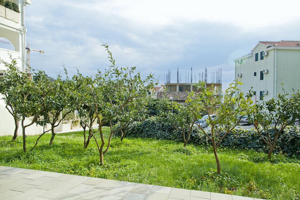 Apartments Mandarina Garden Petrovac Oda fotoğraf